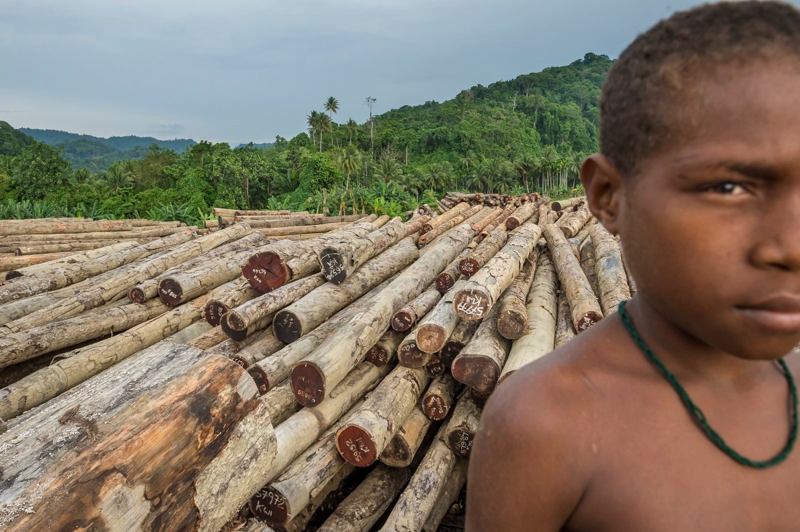 Boy standing in front of a pile of logged timber
