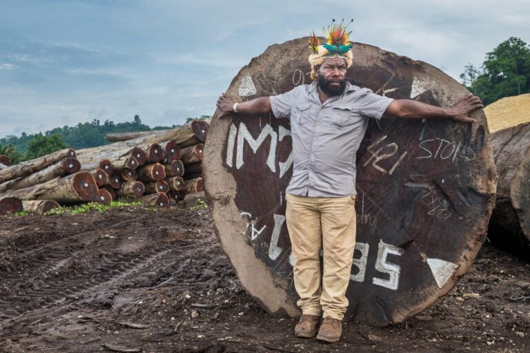 Mundiya Kepanga, the Voice of the Forest